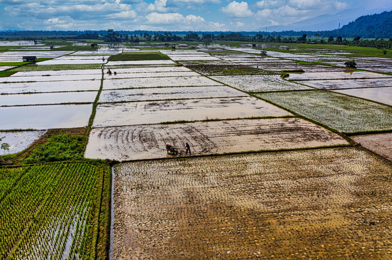 Aerial view of cultivated farmland fields